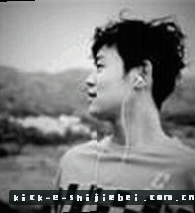 陈磊